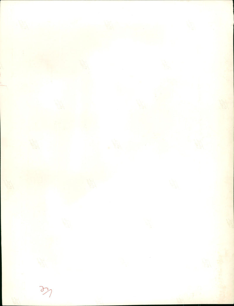 URM WAR SHEPHERD WAIT AND SEE RELEASED MOVIE - Vintage Photograph