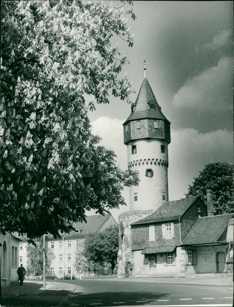 URM WAR SHEPHERD WAIT AND SEE RELEASED MOVIE - Vintage Photograph