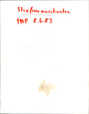 1983 STRAEN MUSIKANTEN FNP MUSICIANSCHAUCHAUCOM MUSICIANSCHAUCOM - Vintage Photograph