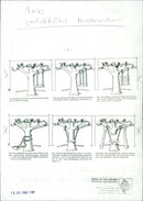 1977 PLAYGROUNDS ARE MOLLIFIED INSTEAD MODELED LOUIS YAVRU - Vintage Photograph