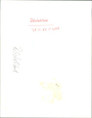 SWIMMB REBSTOCKPOOL FILMLAR REBSTOCH BATH EBSTOCK - Vintage Photograph