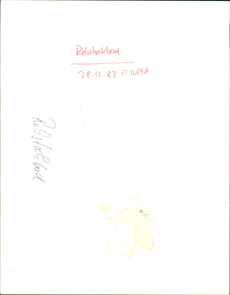 SWIMMB REBSTOCKPOOL FILMLAR REBSTOCH BATH EBSTOCK - Vintage Photograph