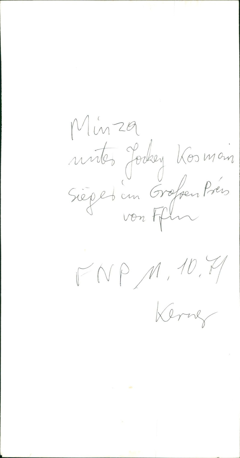 1979 SEVEN YEAROLD MUNCHNER STALLION DREAM GRAND NATIONAL FILM - Vintage Photograph