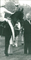1979 SEVEN YEAROLD MUNCHNER STALLION DREAM GRAND NATIONAL FILM - Vintage Photograph