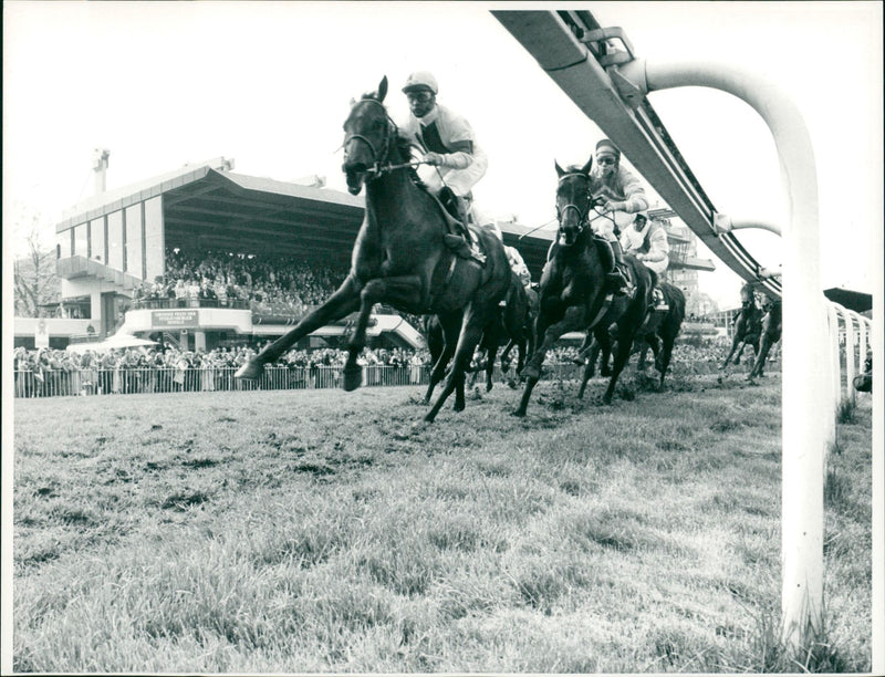 WINTERBALL FEEDS SUDBOGEN YOUNGS DONNY TEST CLICHE BRUTRUN ELS HRON FILM - Vintage Photograph