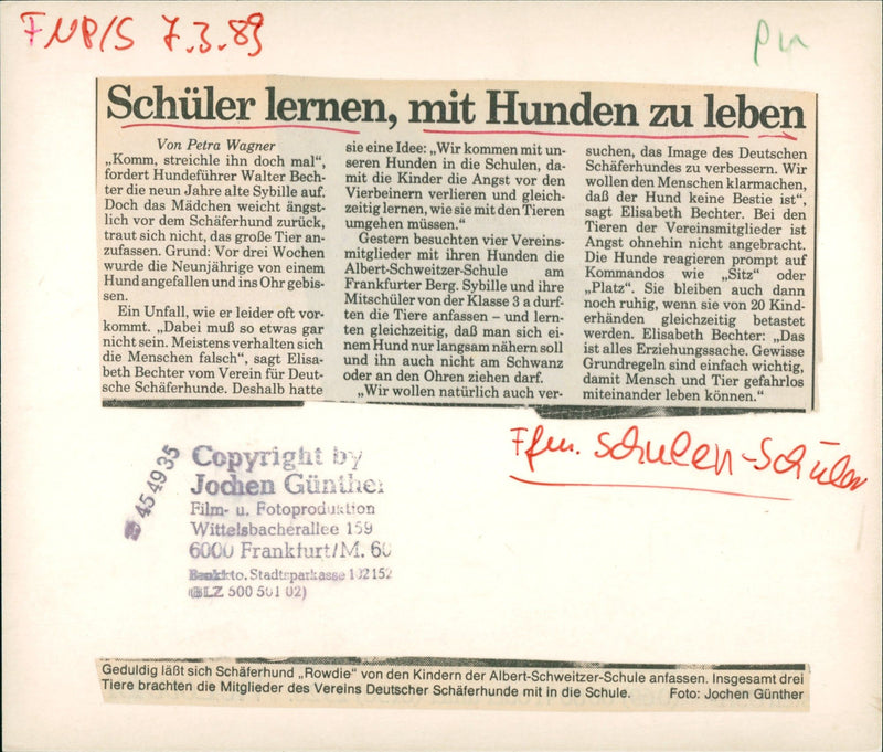 1989 SCHOOLS LEARN LIVE DOGS IMAGE GERMAN COME CAR ALBERT FILM - Vintage Photograph