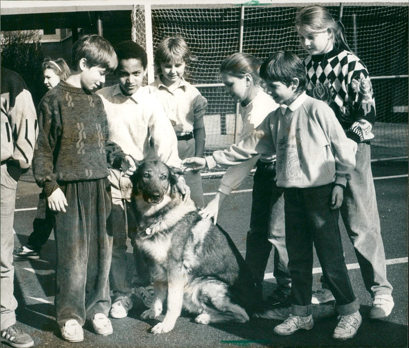 1989 SCHOOLS LEARN LIVE DOGS IMAGE GERMAN COME CAR ALBERT FILM - Vintage Photograph