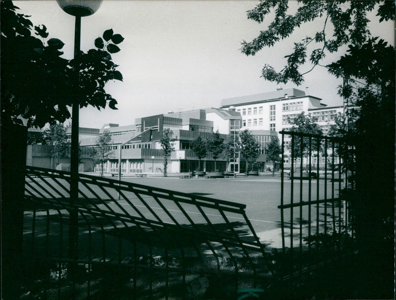 1988 VIOLENCE COUNTRYSIDE WIE TUNGERN SINCE SPR PAUL FILM - Vintage Photograph
