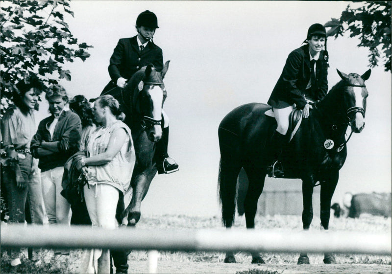 1992 TURNING ANIMALS BERGEN ENKHEIM MOST - Vintage Photograph