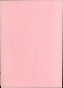 FRANKFURT AMERICAN FOOTBALL AND EVERYTHING THAT NATIONAL - Vintage Photograph