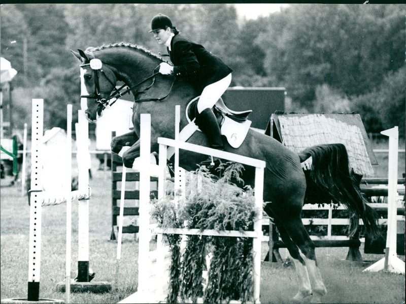 1994 TURNING ANIMALS BERKERSHEIMER RIDING PLACE WHERE AND SECON MICHAEL - Vintage Photograph