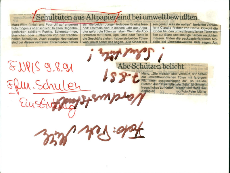 1991 Model Rose - Vintage Photograph