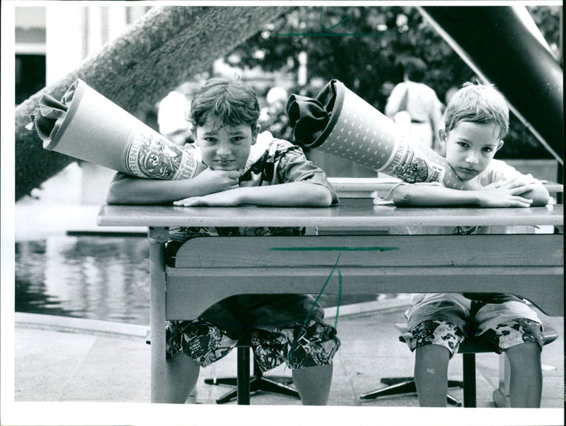 1991 Model Rose - Vintage Photograph