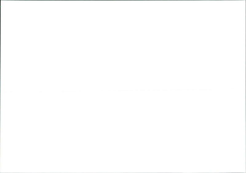 SPGSJPG BASKETBALL FRANKFURT WUERZBURG LEFTSKYLINERS SKYLINERS NUERNBERGER - Vintage Photograph