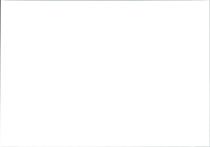 SPGSJPG BASKETBALL FRANKFURT WUERZBURG LEFTSKYLINERS SKYLINERS NUERNBERGER - Vintage Photograph