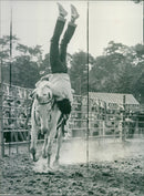 ANNUAL INSTRUMENTS SOLID CERICAN URT NUCLEUSINTHEMUSICALSTUDIOAT UNIVER - Vintage Photograph