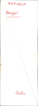 NPIF MAINFEST KUHN KSFESTE INFESTE FESTIVAL HERO - Vintage Photograph