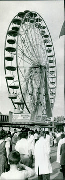 NPIF MAINFEST KUHN KSFESTE INFESTE FESTIVAL HERO - Vintage Photograph