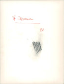 KSFESTE GERMANYS INTERNATIONAL MUSIC FESTIVAL FES - Vintage Photograph