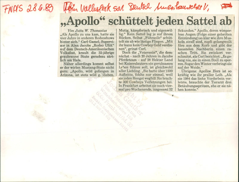1984 SOLID CERICAN APOLLO BROKE COWBOYS INJURIES GERMAN AMERICAN FOLK FILM - Vintage Photograph