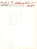 FOLK FESTIVAL GERMAN AMERICAN FOLK FESTIVAL FRANKFURT FILM - Vintage Photograph