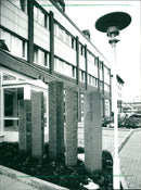 1995 GRAY PANTHERS FFUU TRAINEES FROG DEPENDENT MODEL COUNT PETER - Vintage Photograph