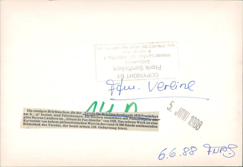 1988 GRAY PANTHERS FFUU TRAINEES FROG DEPENDENT MODEL LANDS MARITAL FLAU COM GRAF - Vintage Photograph