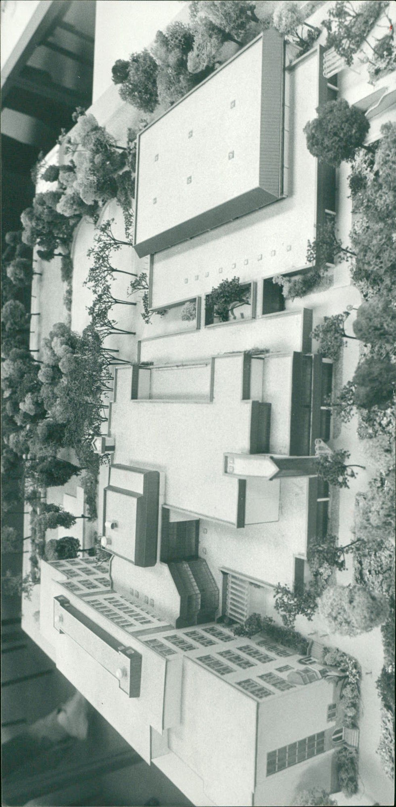 MUSIC LEVEL KREDL COMPLETE SCHOOL GALLUS ISEM ENKLURT TIPIS - Vintage Photograph