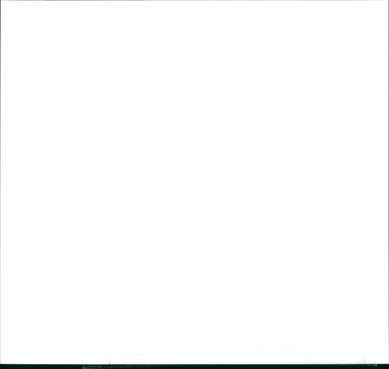 1999 SCHOOLS WOLFRAM WEINKE SWUNG NOW CONCERT CARL SCHURZ SCHOOL - Vintage Photograph