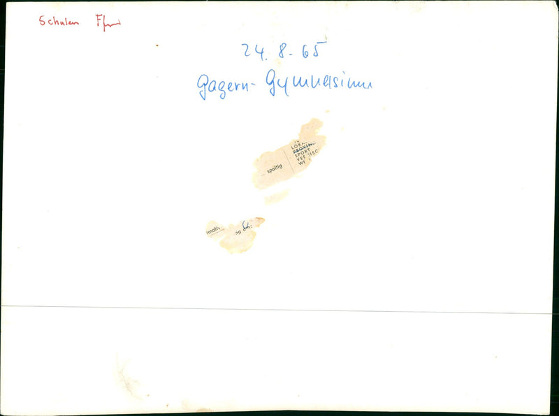 TULEN LEVEL GYMNASIUM MUSIC PLAYING GYMNASTI - Vintage Photograph