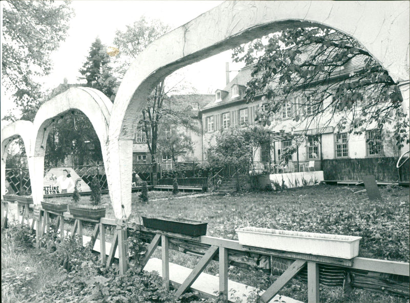 EXERCISE CENTER THERE SPLIT LOGROSS SCHONHOF MODEL MUZIK - Vintage Photograph