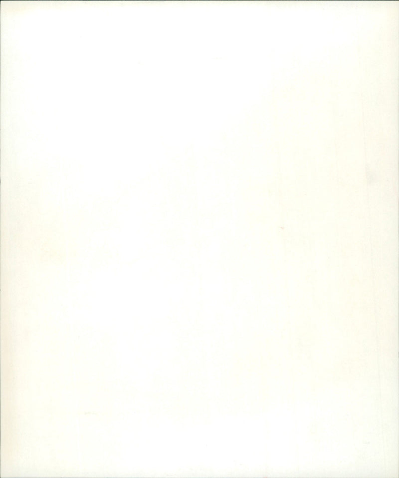 FOOL MESSEN SERIES PHUN MESSE FRANKFURT MAIN BROADCAST TRAD FILM - Vintage Photograph