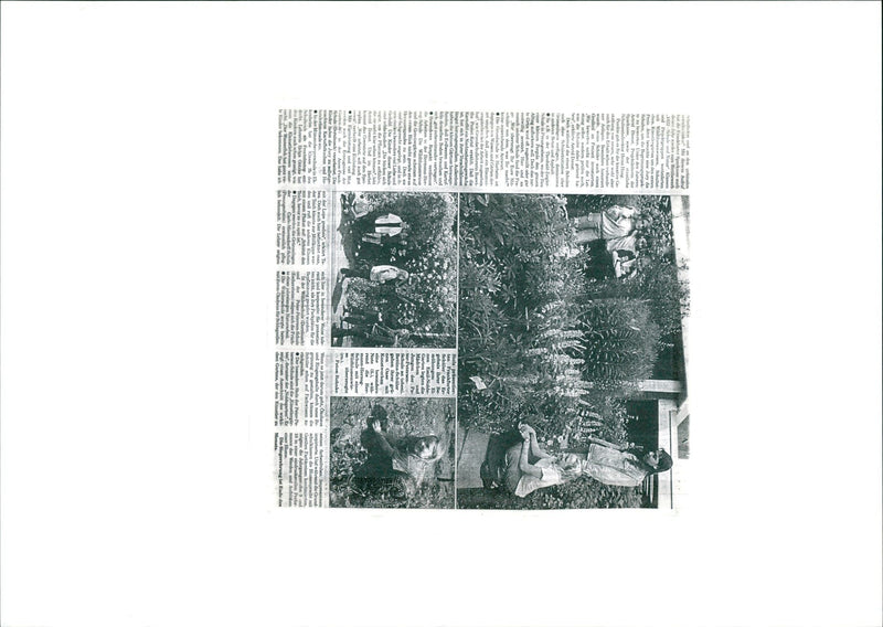 1999 SCHOOLS FNP LOK NATURE SCHOOL GARDEN - Vintage Photograph