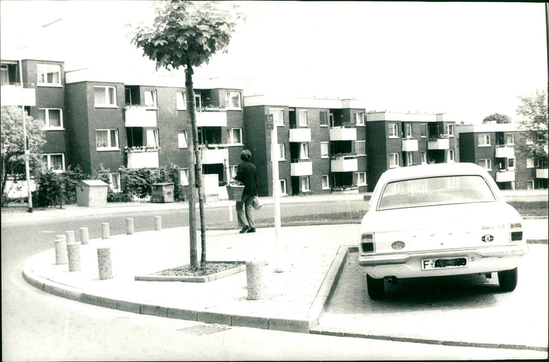 SECKBACH VERSCH STREUBOBSTWIES EXPERIENCE OBST SECKBACHER BACHE NATURSC FILM - Vintage Photograph