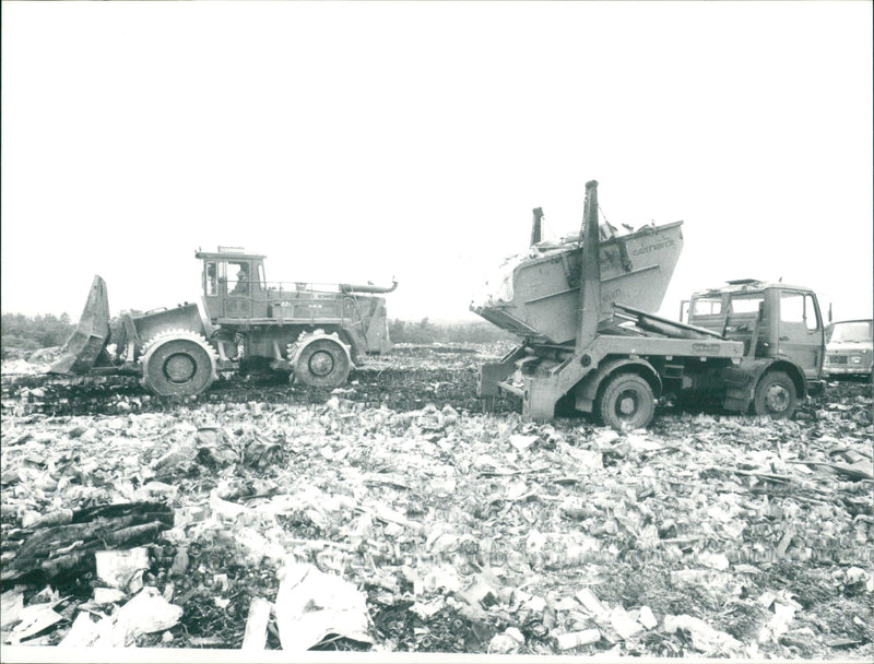 GARDEST FILM WITTELSBACHERALLEE FRAN - Vintage Photograph