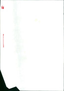 TESSEL ANDE ZESSEDUOM MODELS BILDARDIN FRANK FESTHALLE RIGHT PICTURE - Vintage Photograph