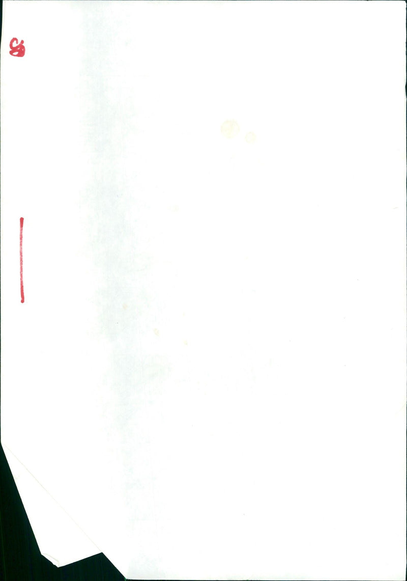 TESSEL ANDE ZESSEDUOM MODELS BILDARDIN FRANK FESTHALLE RIGHT PICTURE - Vintage Photograph