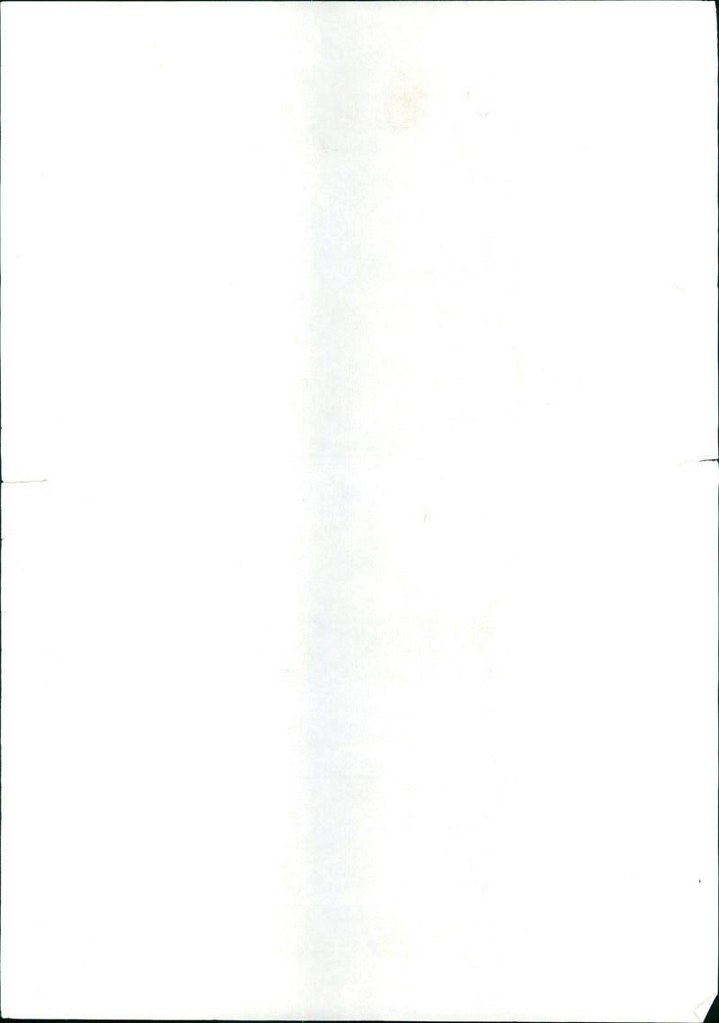 1986 TESSEL ANDE ZESSEDUOM MODELS BURCHERM INTO NEW FAUPS HIGH END - Vintage Photograph