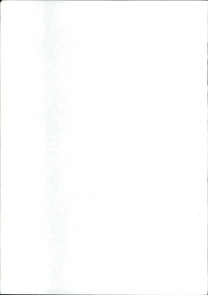 TESSEL ANDE ZESSEDUOM MODELS ARE EYEUA ANDI ZESSEDE - Vintage Photograph