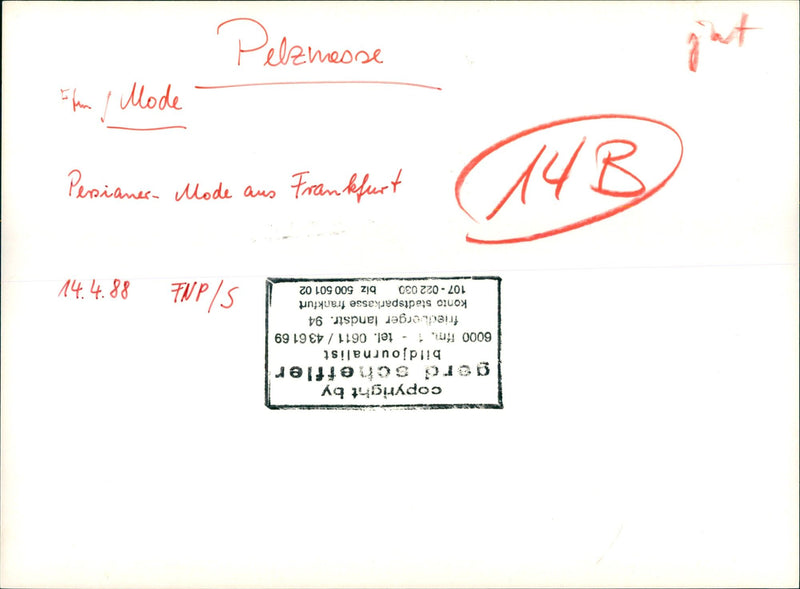 FASHION FOGUE TESTS PELZUESSE CONTINUE FUR PUBLISHED FOGUECOM - Vintage Photograph