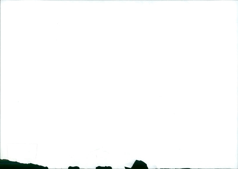 2000 Trend Signals 2000: Asia and Purism Continue Trend - Vintage Photograph