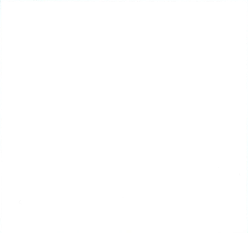 1998 FLUE NESSEU MUSIC FAIR PRESENTERS LINDERN MERZ - Vintage Photograph