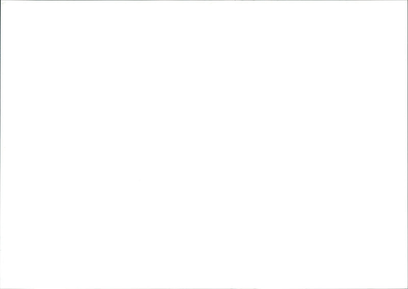 FLUE NESSEU FAIR FNP LOKOA FLM END MUSIC MINING - Vintage Photograph