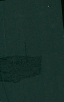 1999 IHK TAKING PART PROTESTS SEARCH OPENNESS ANIMALS PETER - Vintage Photograph