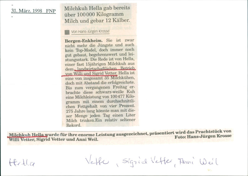 ANDWIRT HELLA ALMOST OLD MILK COW FARMING MODEL - Vintage Photograph