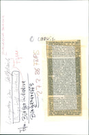 1986 KETTENHOFWEG NATURE FRIENDLY DIRECT FRONT DOGS - Vintage Photograph