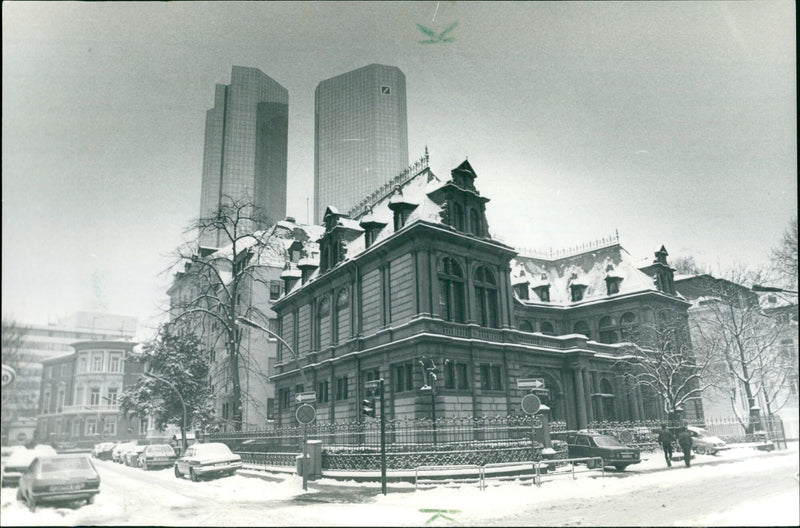 1986 KETTENHOFWEG NATURE FRIENDLY DIRECT FRONT DOGS - Vintage Photograph