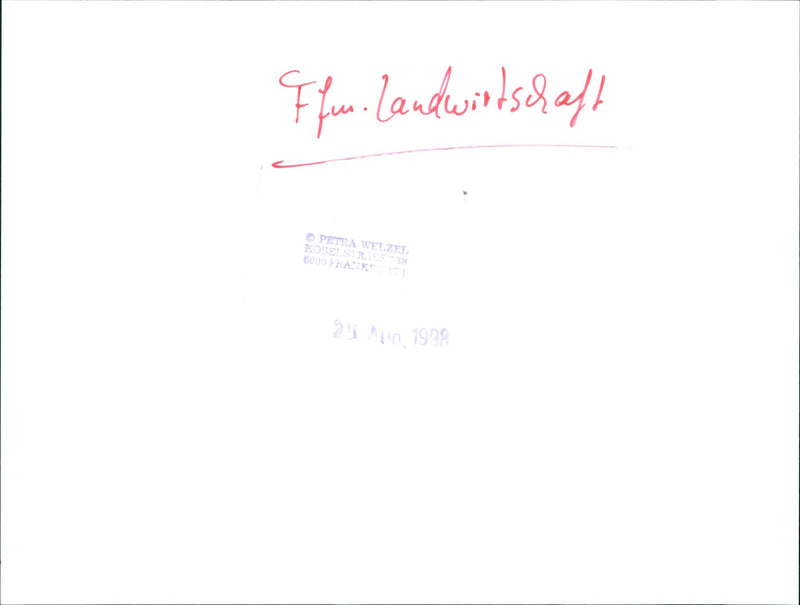 ANDWIRT COSEL STRASS AND PETRA WELZEI ARE FRANCES BESTKNOWN MODELS - Vintage Photograph