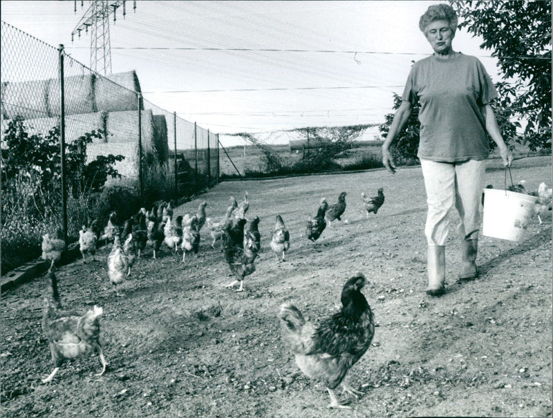 ANDWIRT COSEL STRASS AND PETRA WELZEI ARE FRANCES BESTKNOWN MODELS - Vintage Photograph