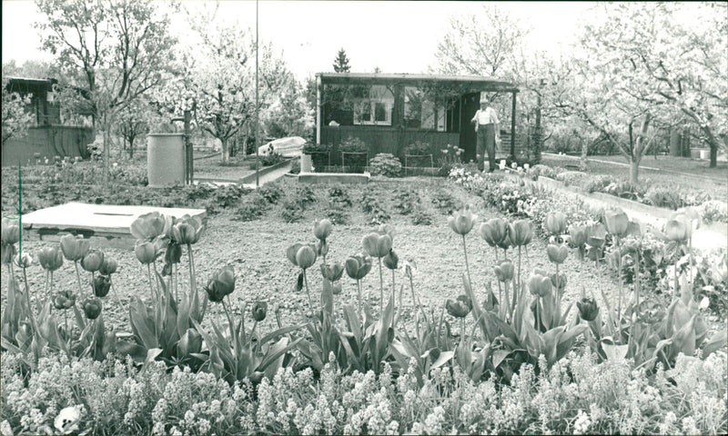 1980 PHAN KHE AND SALARY MIQUEL FNP ENINGED GERMAN COMPAN - Vintage Photograph